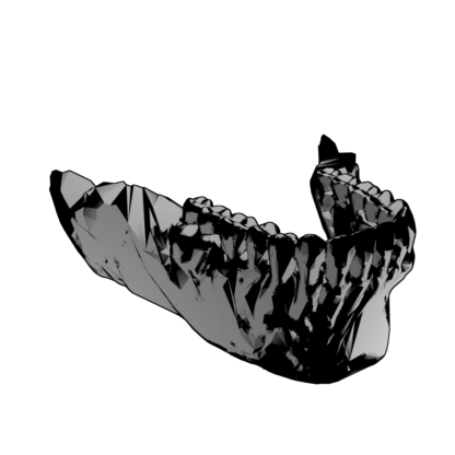 JAWBONE